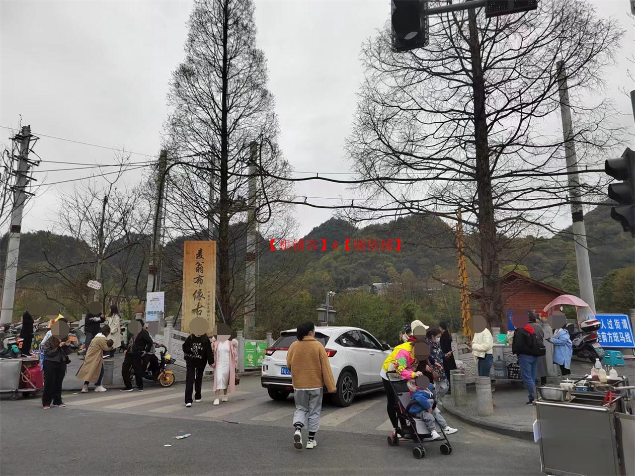花溪十里河滩麦翁古寨550平山庄房东直租